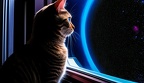space cat-Standard-4x-Upscaled